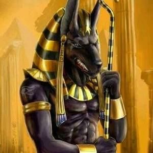 Meet your Posher, Marcus